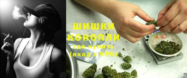 дживик Кинешма
