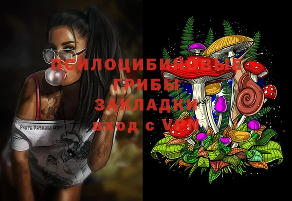 spice Баксан