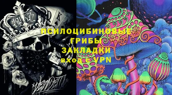 гашик Балахна