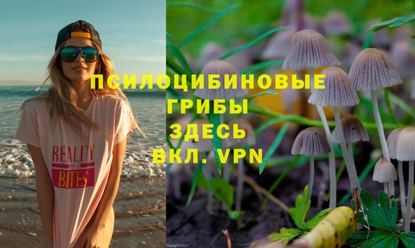 spice Баксан