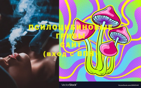 тгк Беломорск