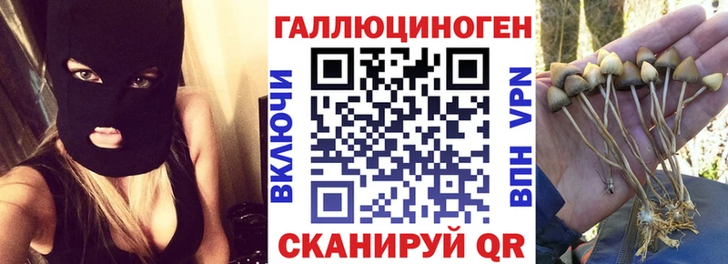 Псилоцибиновые грибы MAGIC MUSHROOMS Касли